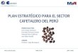 Presentación PEA CAFE  TCXVI - 2012.ppt