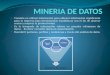 Minería de Datos - Conceptos Básicos