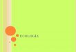 1-ECOLOGÍA 2015 - Ecosistemas -Energía -Ciclos Materia