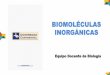 Biomoleculas Inorganicas Ji