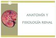 Fisiología Renal y Anatomia