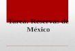 Tarea_ Reservas en Mexico_2
