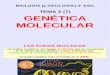 Genetica Molecular