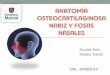 Anatomia Osteocartilaginosa Nariz y Fosas Nasales Naty