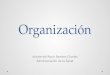 Organizacion, Integracion y Direccion