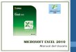Microsoft Office Excel 2010- Intermedio