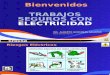 Trabajos Seguros con Electricidad 2014.pptx