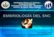 2014-Embriología Del SNC-Dr David Truzman