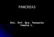 Expo Pancreas
