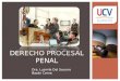 Derecho Procesal Penal- Clase VII-MAYO