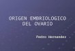 Origen EmBrioloGiCo deL ovaRio