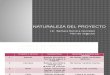 Capitulo 1 "Proyecto Peru"