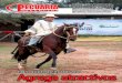PECUARIA Y NEGOCIOS - AÑO 11 - NUMERO 130 - MAYO 2015 - PARAGUAY - PORTALGUARANI