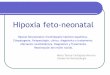 Hipoxia fetoneonatal