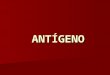 Antigen Os