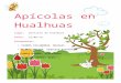 Apícolas en Hualhuas