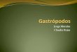 Gastrópodos (1)