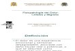1. Fisiopatología Del Dolor. Cefalea y Migraña - Dr. José Carlos Del Carmen Sara