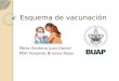 Esquema de Vacunación Mexico