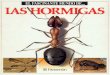 [Parramon Homs] El Fascinante Mundo de Las Hormiga(BookSee.org)