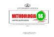 METODOLOGIA 5S
