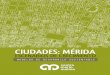 1. Ciudades Mérida 2014 Reporte Mario Molina