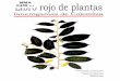 Libro Rojo Plantas Colombia_ Vol 1. Fanerógamas