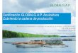 Certificación GlobalGAP Acuicultura, Cubriendo La Cadena de Producción - Efraín Calderón, Ecuador