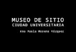 Museo de Sitio CU. Ana Paola Moreno Vázquez
