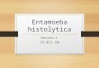 Entamoeba Histolitica - Tya