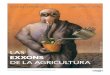 Grain 5276 Las Exxons de La Agricultura