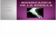 Biomecanica de La Rodilla (1)