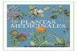 Álbum de plantas medicinales
