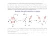 El mecanismo de la sustitución electrófila aromática.docx