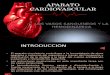 9. Aparato Cardiovascular