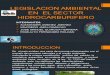 Grupo 7legislacion Ambiental en El Sector Hidrocarburifero