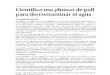 Investigadora Del Tec de Querétaro Utiliza Plumas de Pollo Para Remover Contaminantes Del Agua