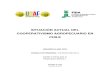 Documento Situación Actual Del Cooperativismo Agropecuario en Chile 2012