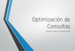 Optimización de Consultas Tema_2