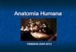Generalidades Anatomia Humana 1 2013