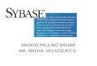 Sybase manual 2