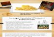 Ppt Patatas Chips