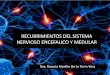 Recubrimientos Del Sistema Nervioso Encefalico y Medular