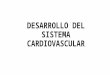 Desarrollo Del Sistema Cardiovascular