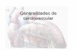 6.-Generalidades de Cardiovascular