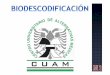 Modulo 1 Biodescodificación.pdf