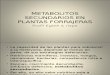 86001567 Metabolitos Secundarios en Plantas ForrajerasMETABOLITOS SECUNDARIOS EN PLANTAS FORRAJERAS