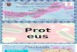 Proteus y Enterobacter