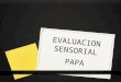 Evaluacion Sensorial papa