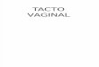 Tacto Vaginal Edicion 002